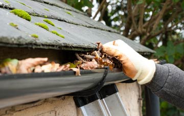 gutter cleaning Newton Upon Derwent, East Riding Of Yorkshire